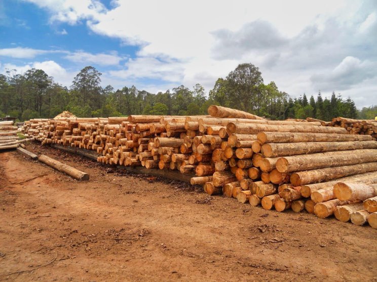 LOGS PRODUCT LOGS PRODUCT