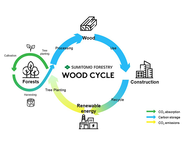 Wood Cycle