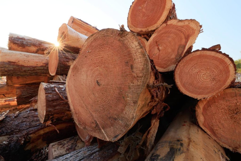 Wood